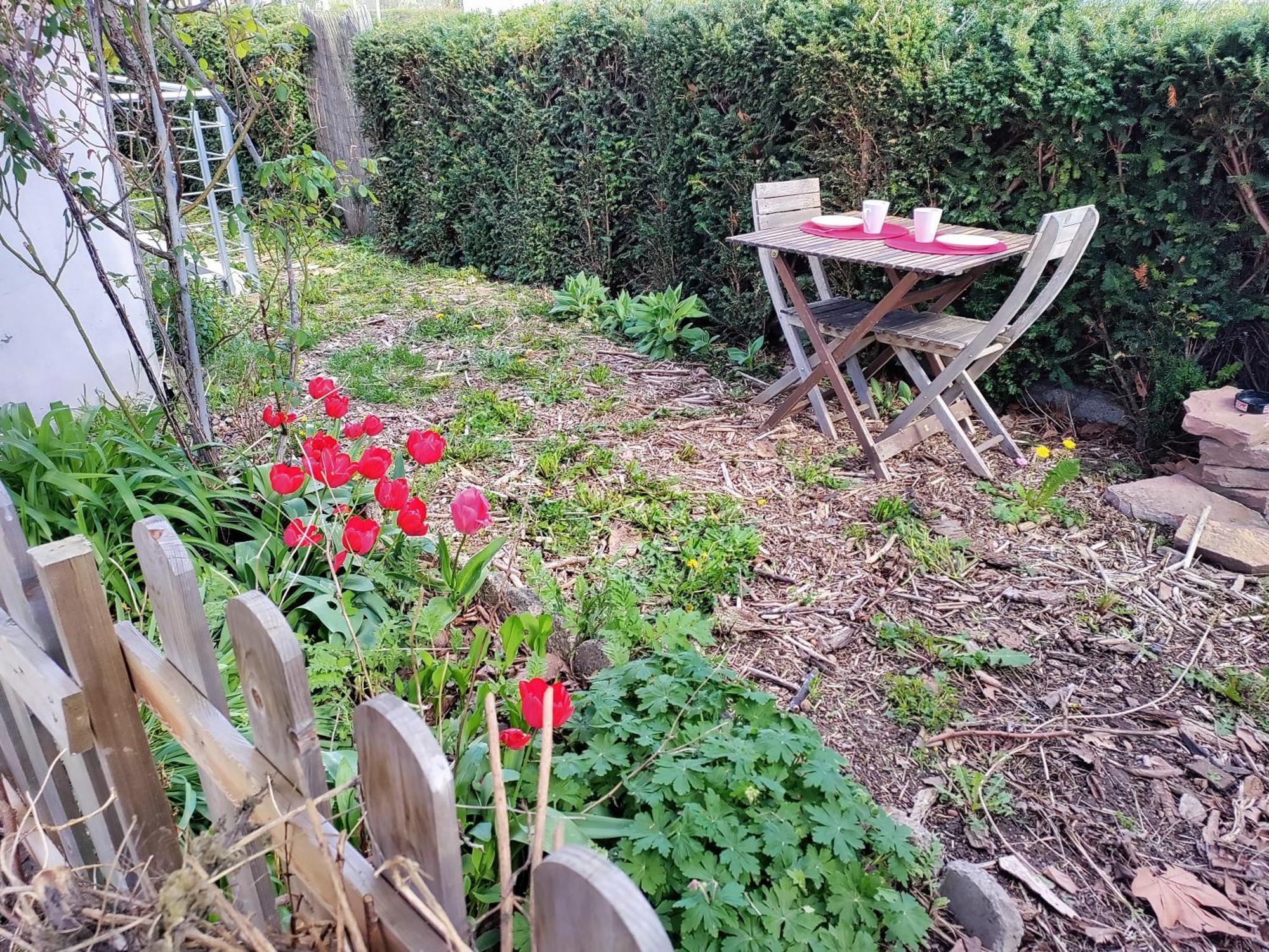 Appartamento Les Coquelicots, Calme, Jardin Colmar Esterno foto